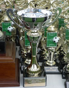 RTA Leadership Award